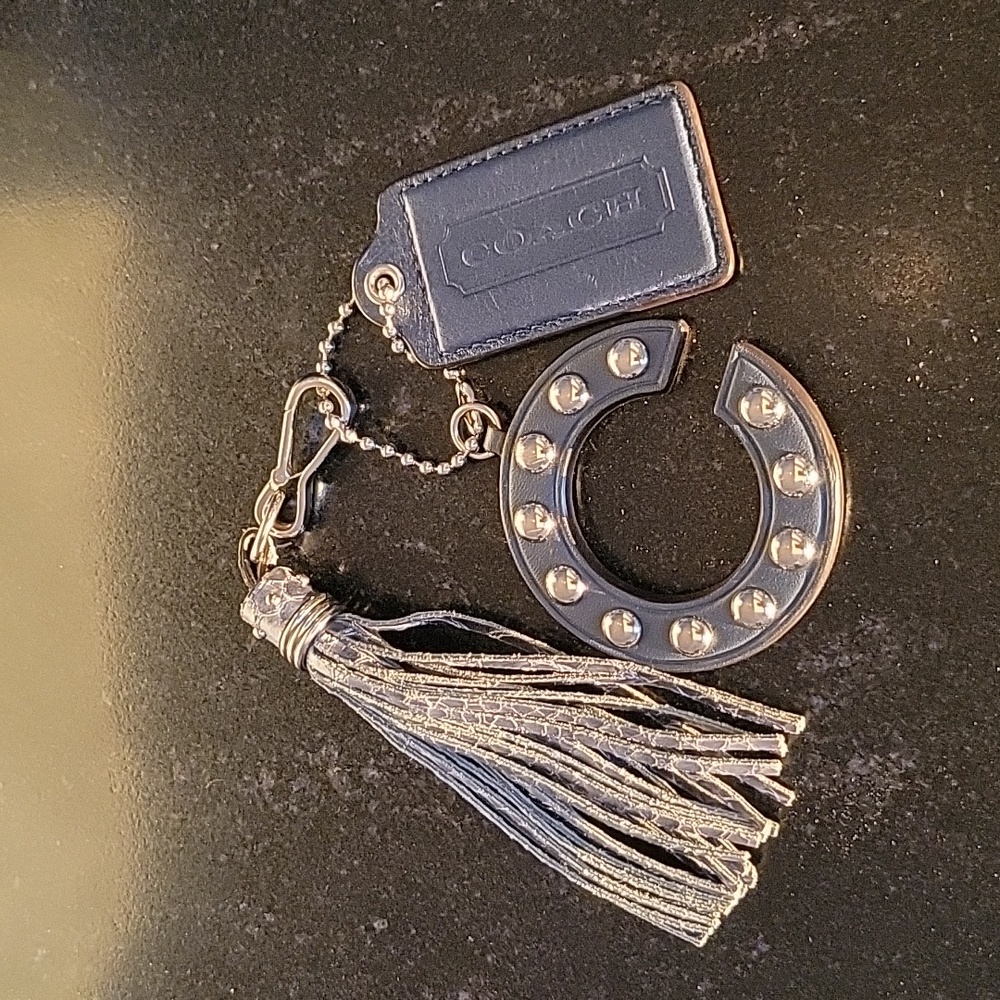 Coach Exotic Embossed Python Leather Sierria Carr… - image 2